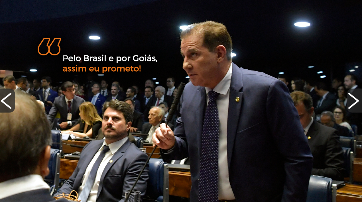 imagem da seção